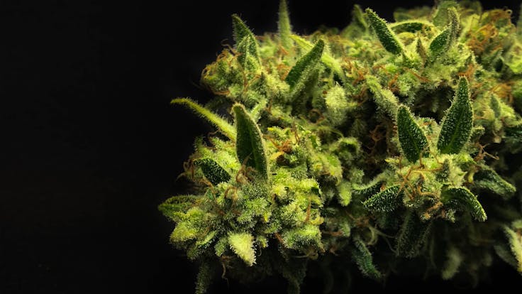 Catholic School Girl