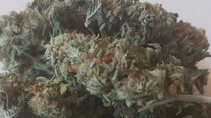 Marijuana - Indica, Sativa & Hybrid Strains