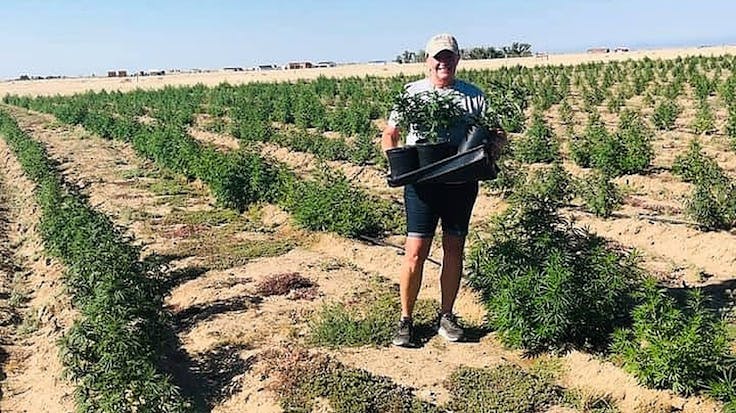 Mama Leslie transplanting some young plants