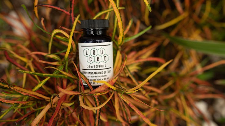 These Melatonin CBD Softgels are the product you have been looking for