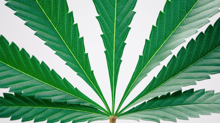 Quality starts on the cellular level.