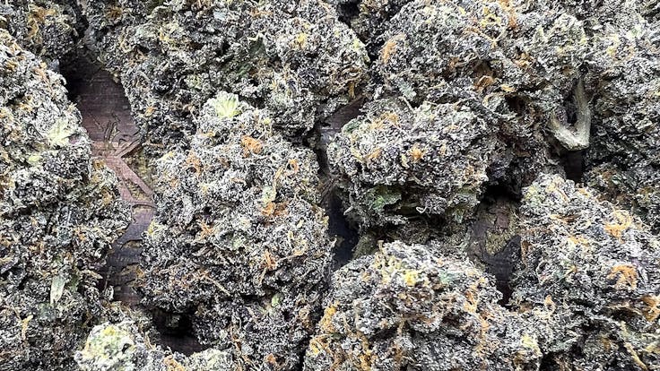 Shop BackWoodz. Exotic THCA Flower and Alt Cannabis Products safely delivered to your doorstep.