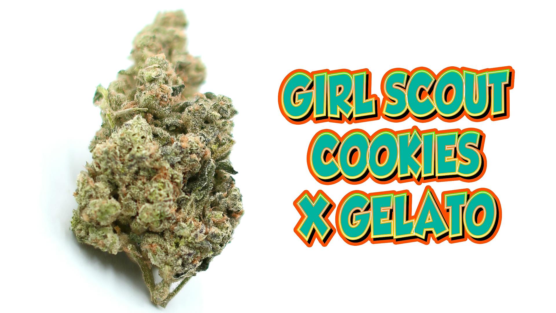 SAUCED THE DRIP IS DIFFERENT Leafly