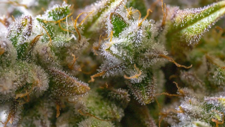 We lead by example, moving our industry forward. We are who we want our industry to become.