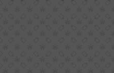 Daily Store Discount image