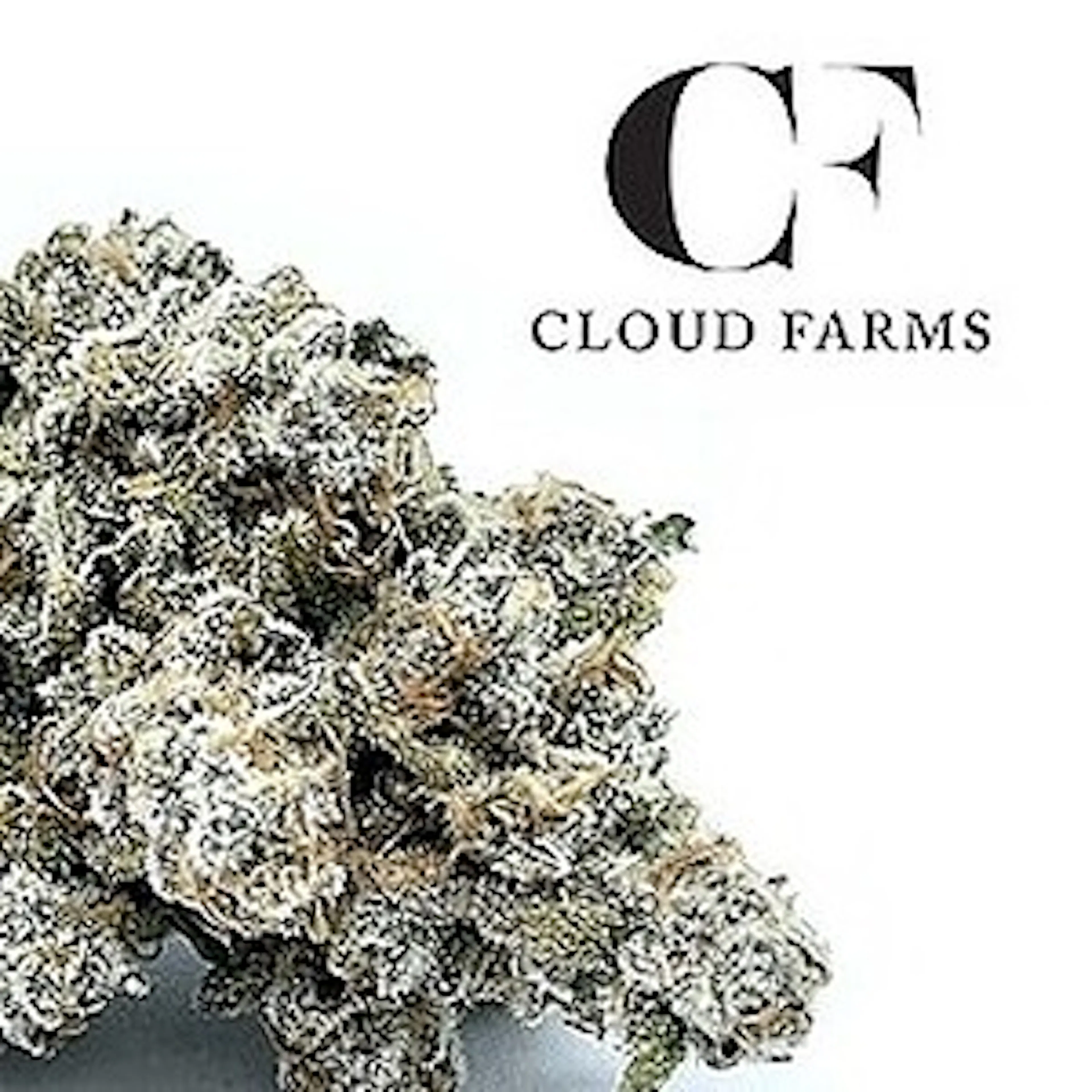 Cloud Farms logo
