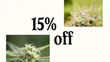 Select 1g Prerolls now $10 image