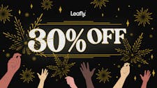 30% OFF LEGACY DAB FLIGHT image