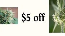 $5 Off on all Birdies Skus image