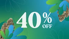40% OFF First Time Visit image