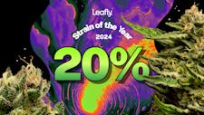 20% Off All Your Highness Products image