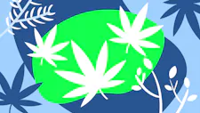 10% Tuesdays image