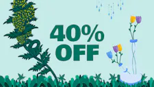 40% off Wyld image