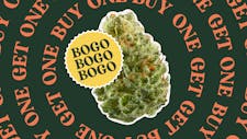 BOGO on EVERYTHING in store while supplies last! image