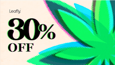 30% Off Srene image