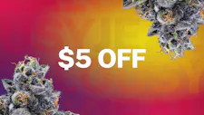 Buy 1 Live Resin Pod, Get the Other $5 Off! image
