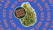 BOGO $30 - 7g SMALL BUDS (PLUS TAX) image