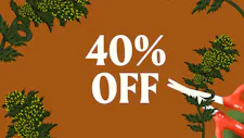 40% Off on Smoken Promises Flower image