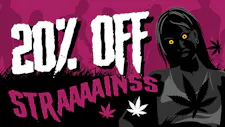 20% off ALL ONLINE ORDERS image