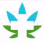 Logo for Oasis Cannabis - Newberg