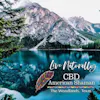 CBD American Shaman - The Woodlands