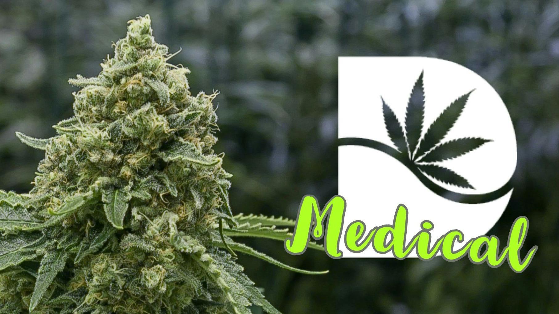 DANK Dispensary (Medical) Denver, CO Dispensary Leafly