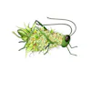 Grasshopper Cannabis Company