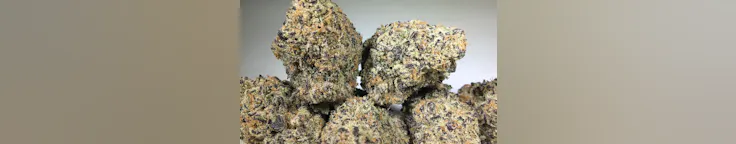 Beaver Bowls Cannabis House