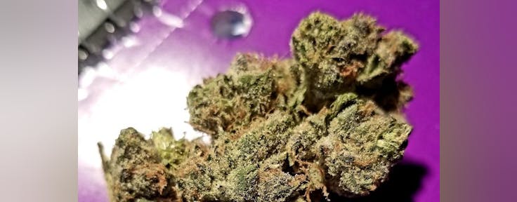 Silhouettes Marijuana Delivery - Oregon City