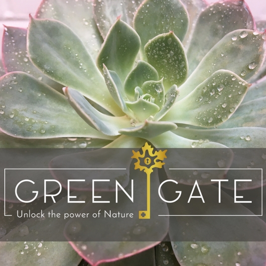 Green Gate Health — Dispensaries in Grand Rapids, MI