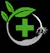 Logo for Today's Herbal Choice - Molalla
