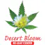 Logo for Desert Bloom Releaf Center (Med/Rec)