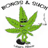 Bongs and Such Plus - 16th Ave