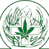 Tumbleweed's CBD & Dispensary