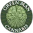 Green Man Cannabis - Hampden logo