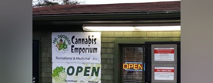 Mr. Doobees - Natural High Store