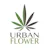 Urban Flower Lifestyle logo