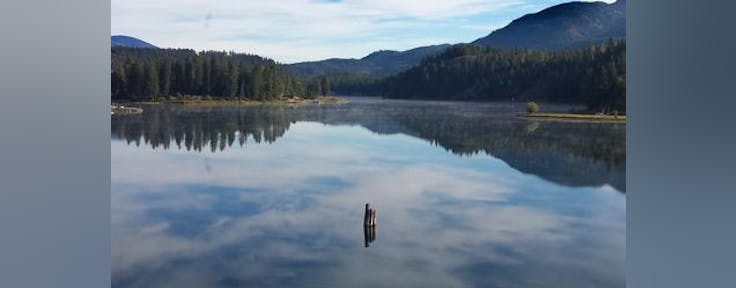 Pend Oreille Cannabis Co.