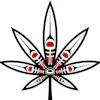The Kure Cannabis Society - Dyke Rd.