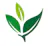 Greenzone Therapy logo
