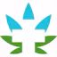 Logo for Oasis Cannabis - Monmouth