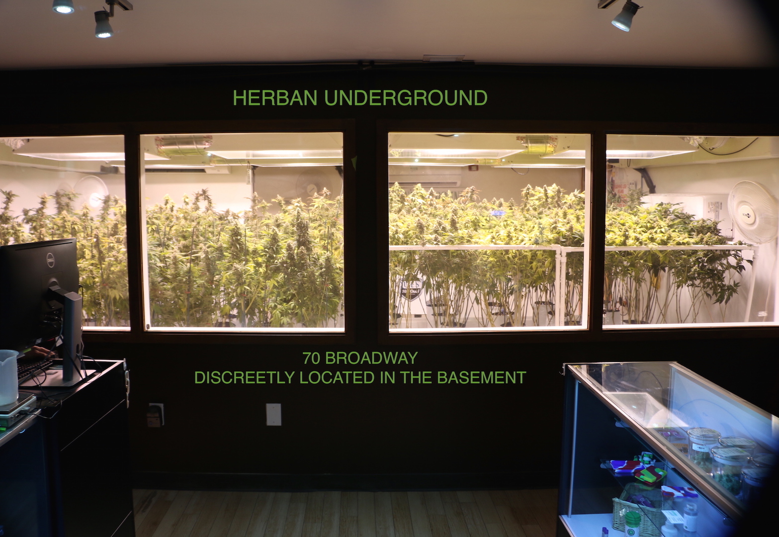 Herban Underground — Dispensaries in Denver, CO