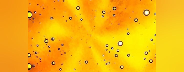 Oregon Coast Dispensary Newport