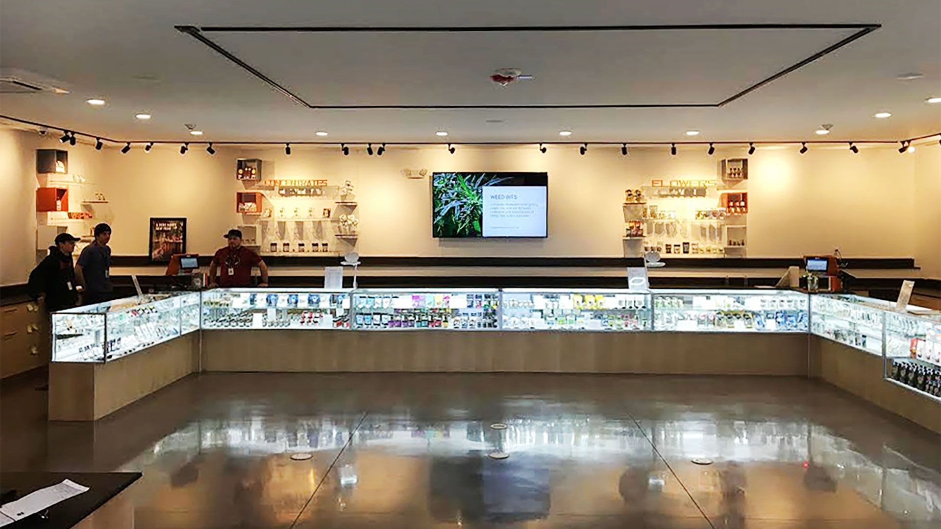 Bloom Everett Dispensary Menu, Reviews & Photos