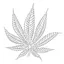 Logo for Hash Marihuana Canamo & Hemp Museum