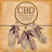 CBD American Shaman Clanton-logo