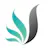 Beyond the Leaf logo