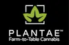 Plantae Madras
