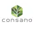 Consano logo