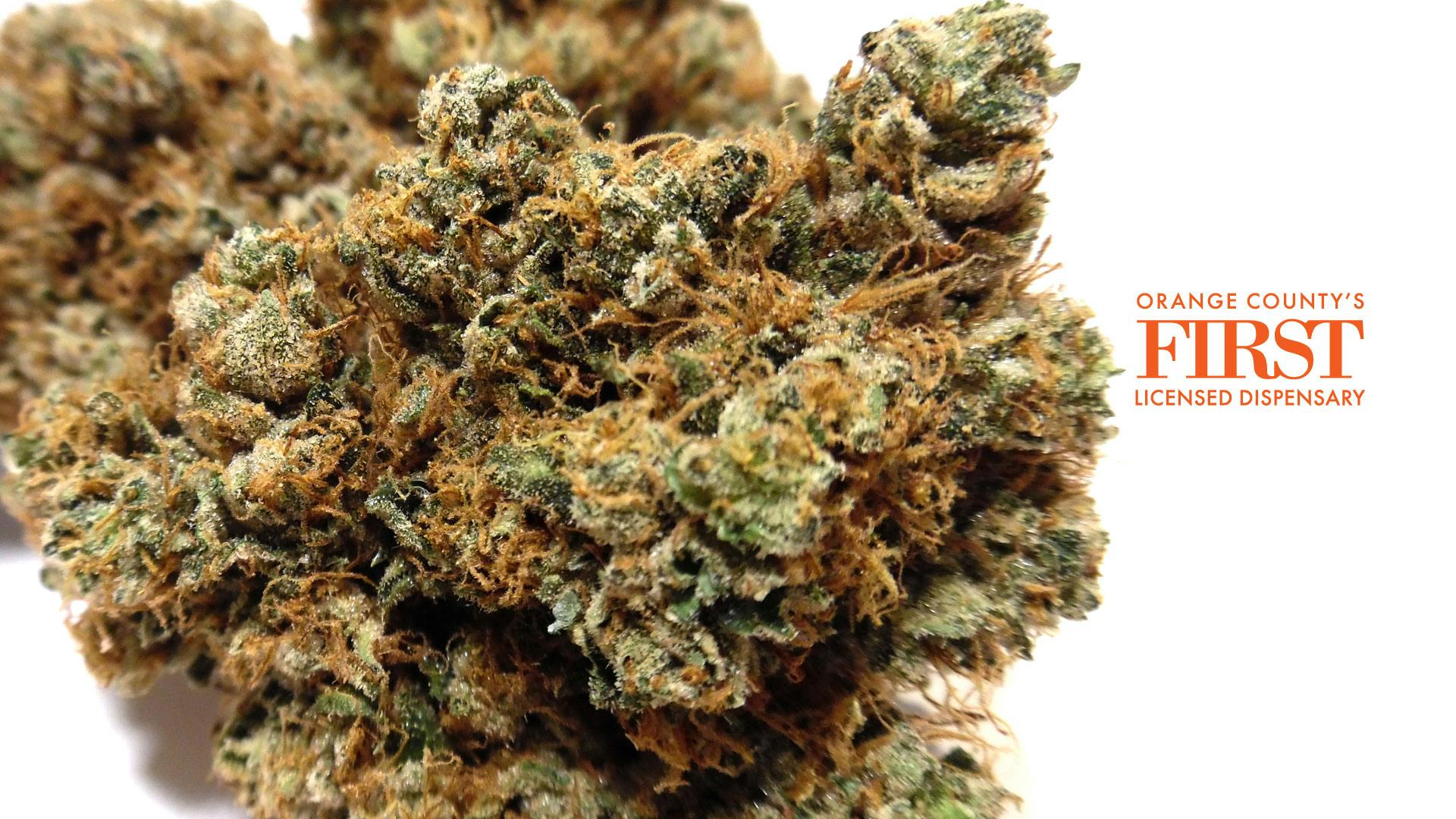 OC3Orange County Cannabis Club (Santa Ana) Santa Ana, CA Dispensary